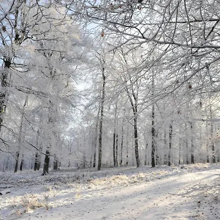 La Dom wakacyjny Paliseul